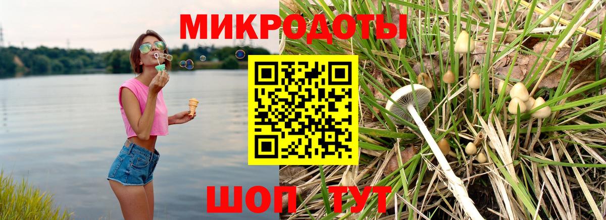 Гусь-Хрустальный  Псилоцибиновые грибы ЛСД  Вход с VPN 