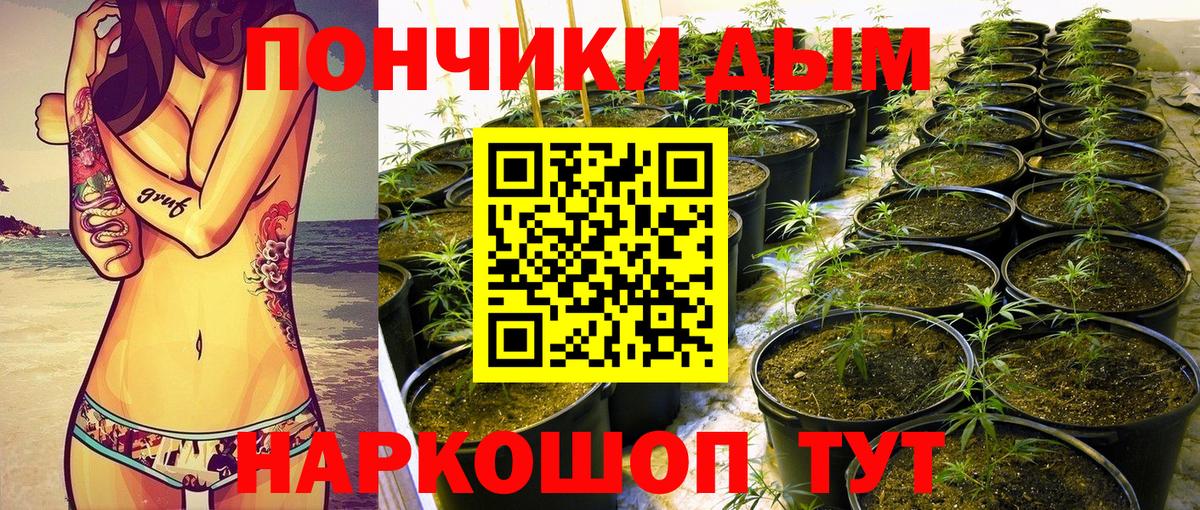 Бошки Шишки семена  Вход с VPN  МАРИХУАНА White Widow  Конопля гибрид  Гусь-Хрустальный 